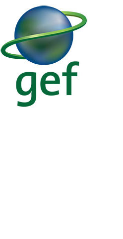 Global Environment Facility (GEF) Re-Brand